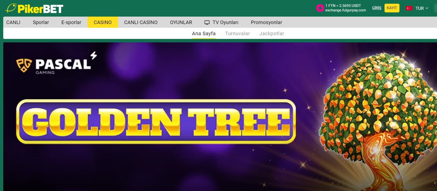 Pikerbet İnceleme